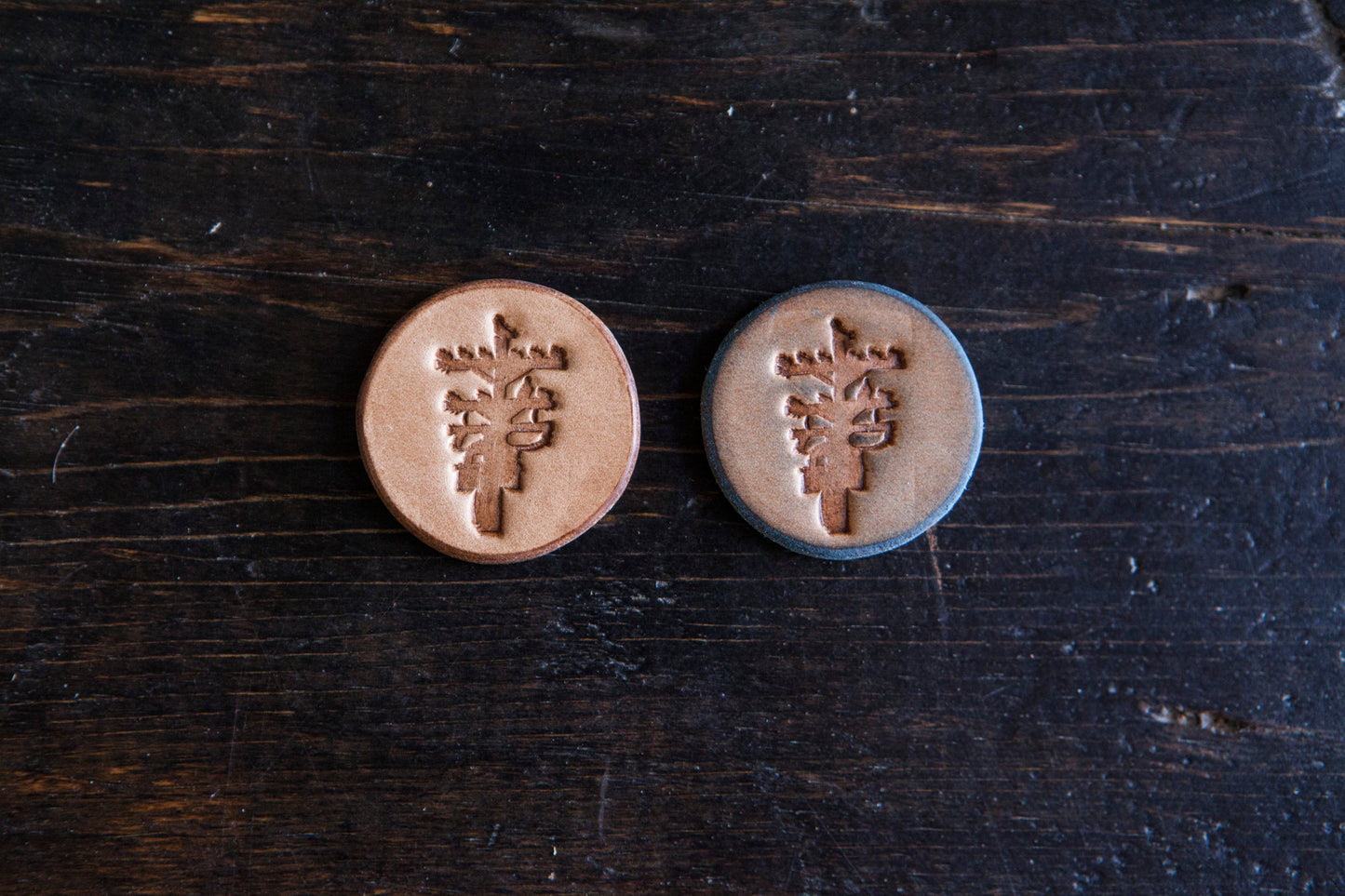 Pigeon Tree $10 Token