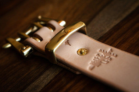 The Hidden Pigeon Giveaway