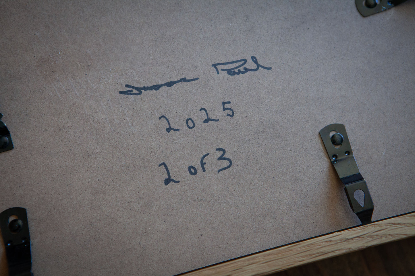 Pigeon Tree Dyeing Table Original Art- Numbered Series of 3 (2025)